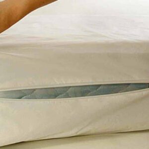 Bed Bug Covers 
