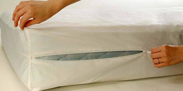 Bed Bug Covers