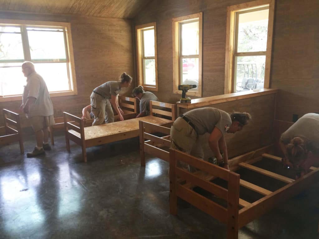 sleep single ladder bed set up 1