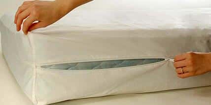Controlling Bedbugs for Group Living Environments