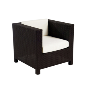 Birch Arm Chair (BIR-AC)
