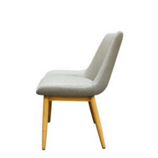 Amata Metal Frame Chair (CM-10501) (QUICK SHIP) - Image 2