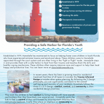 Homesafe Project Spotlight